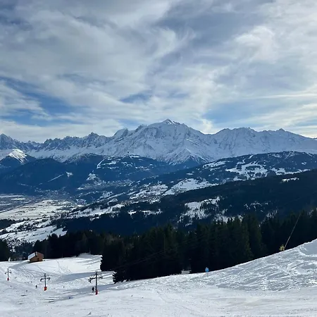 Horská chata Face Au Mont Blanc, Plein Sud *
